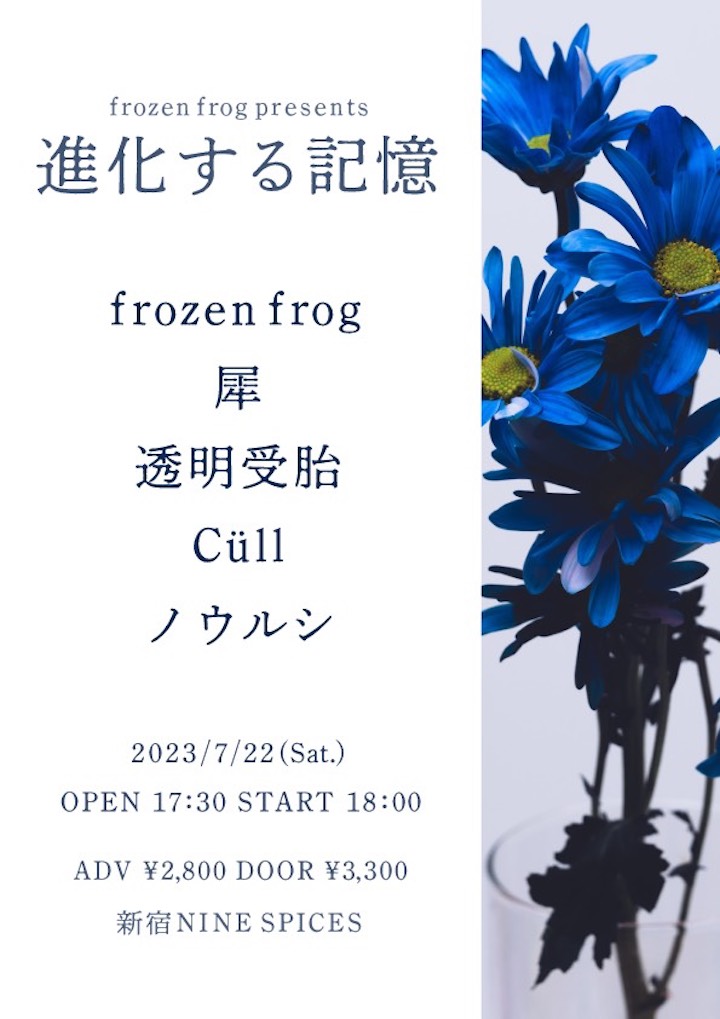frozen frog presents「進化する記憶」